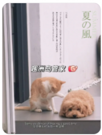 涠洲岛民宿管家招聘