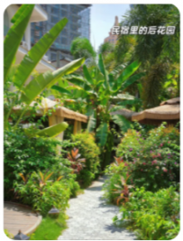 西双版纳 告庄内轻奢民宿转让