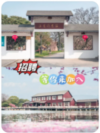 【苏州消夏湾农庄】招聘❗❗苏州西山消夏湾民宿~远离城市喧嚣